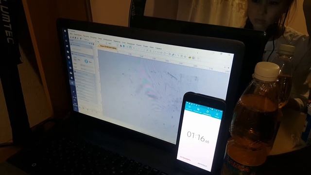 Определение качества напитков методом биотестирования с использованием тест объекта инфузории