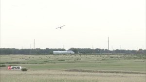 Дагестанские фермеры борются с саранчой