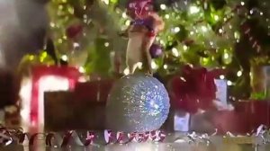 Белки отмечают новый год!