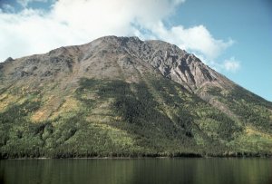 Панические атаки. Как избавиться от панических атак