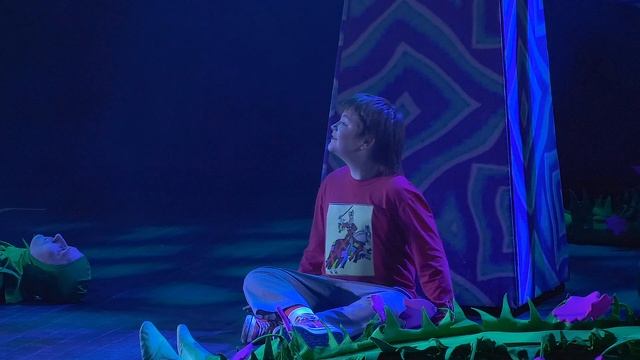 Опера-балет  М.Равеля "Дитя и волшебство", ДМТЮА, 7.12.2021