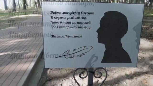 Обзор Янтарного 2020