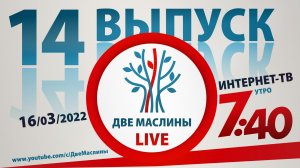 Выпуск #14 | Две маслины live | Почему Израиль, Говорят репатрианты, Вопросы раввину, "Ты мой", Эхо.