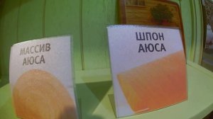 Хофф. Дорогие кухни. Кухня Вилладжио, массив Аюса. Обзор. Цена.