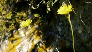 Поход из Кисловодска в  Березовское ущелье