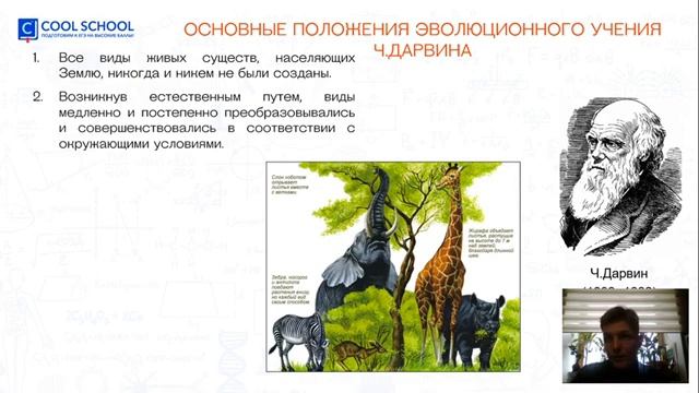 Эволюция | Биология ЕГЭ | Cool School