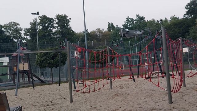 Звери, мусор и панорама города Zielona Góra Poland | Новые игрушки для видео