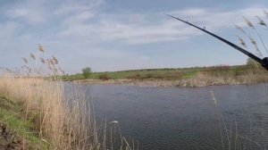 Река Воронеж и крупные воблеры минноу. Рыбалка с берега.