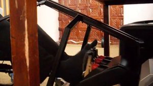 Logitech G25 Виртуальные тренировки (ЧАСТЬ 2)