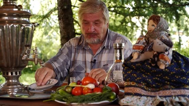 С.В. Савельев - Инструкция смотреть онлайн