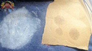 В магазине постоянно покупаю много крахмала. Рассказываю как и для чего использую крахмал дома!