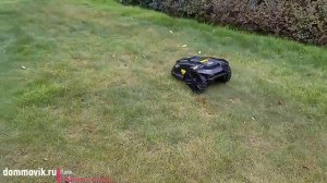 Робот газонокосилка с док станцией и высокой автономностью работы