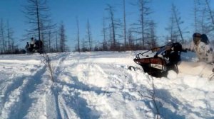 Охота в Норильске.Тундра.