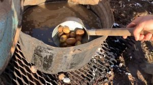 Венгерские мангалицы. Реалии содержания. Часть 1.