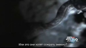 Планетуха Земля: Летучие мыши и Змеи / Plizzanet Earth: Bats and Snakes RUS