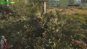 SCUM | ЗАПУСКАЕМ СВОЙ СЕРВЕР!