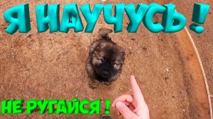 СТРАУСЫ  ЗАМЕРЗНУТ ?  ТАНЦПОЛ ГОТОВ ! [Жизнь в деревне]