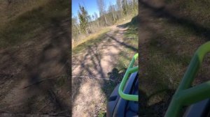 Рм 650-2 по лесу