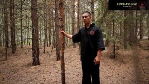 Самое лучшее упражнение для поясницы - махи ногой
