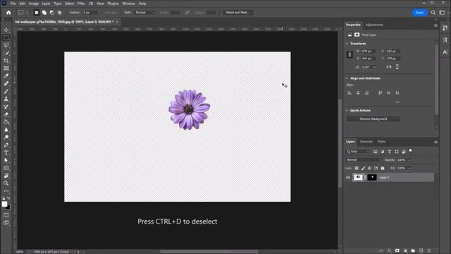 Turn one object into a pattern (multiply something) | PHOTOSHOP TUTORIAL - TIPS & TRICKS смотреть онлайн