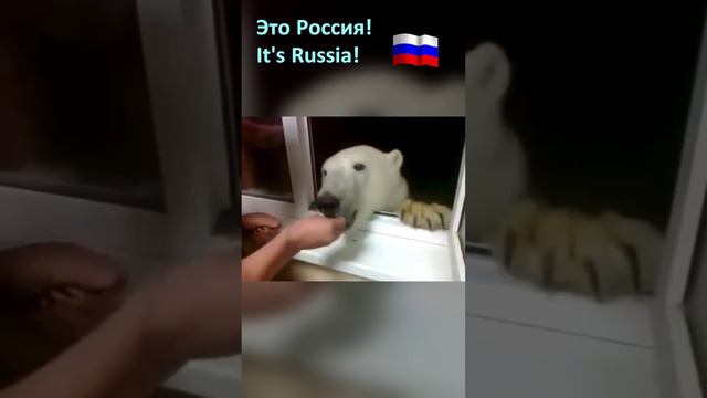 It's Russia! — Это Россия!