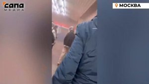 Два поезда столкнулись на станции «Печатники» в московском метро