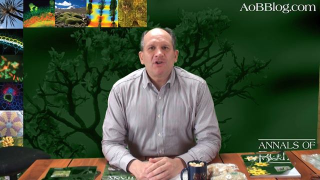 Proteaceae, Banksia, Macadamia nuts & Annals of Botany Cover смотреть онлайн