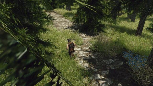 Skyrim: Lonely Nirn - Animcam While Traveling смотреть онлайн