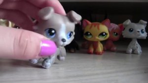 LPS: мои новинки LPS с avito (24 пета?!)