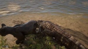 Legendary Panther vs Alligator | Animal Battle RDR2 |  → Red Dead Redemption 2 PC mods