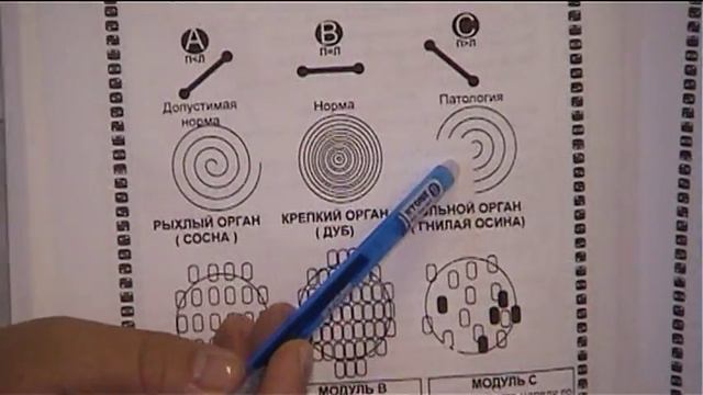 ПРЕЗЕНТАЦИЯ МЕТОДА ОЛЬГИ КУЗЬМЕНКО 2Ч