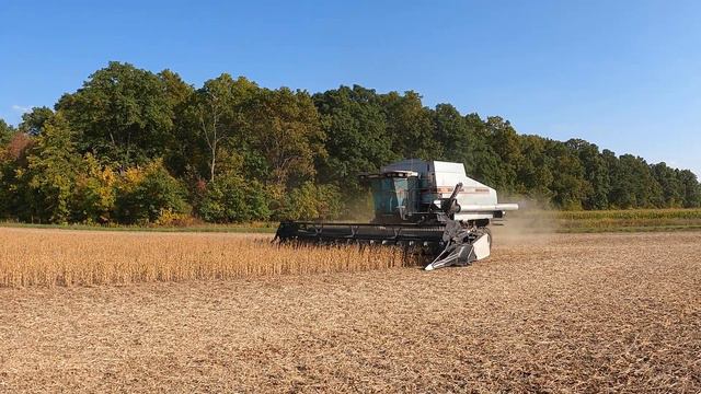 Nice Farmer Invites me to get Closer to a 1996 Gleaner R-62 - Deutz-Allis 9170 - Harvest Chaser - 4 смотреть онлайн