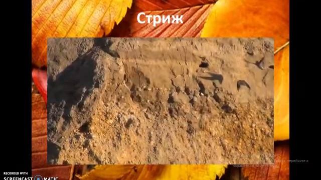 Осенние изменения 2класс смотреть онлайн