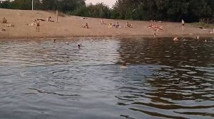 ВОТ И ЛЕТО ПРОШЛО// СЛОВНО И НЕ БЫВАЛО