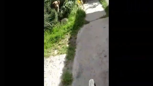 Обзор велосипеда AIST City Clasic смотреть онлайн