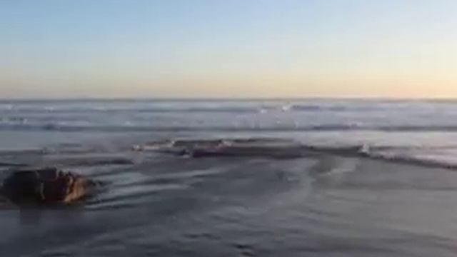 Samba hits the surf in Arroyo Seco смотреть онлайн