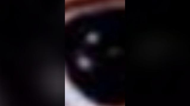 Я помню,я горжусь!