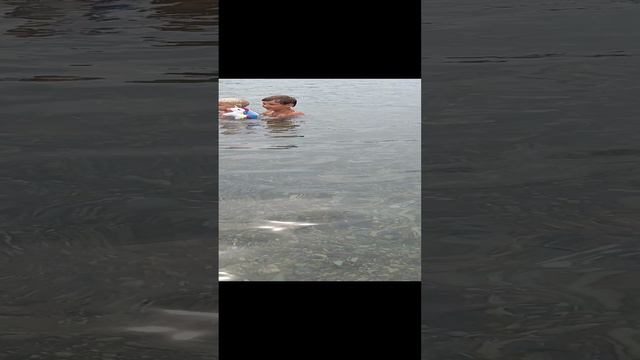 Чёрное море. с. Дивноморское. 30.08.24г. Вода прозрачная и тёплая!