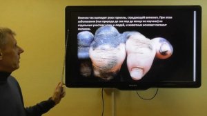 Сотворение, эволюция или инволюция? Что лучше? Александр Белов 4 января 2020