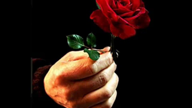 Chris Norman - For You