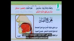 Айман Сувейд  14  Буквы ز ,  س ,  ص  субтитрами на русском