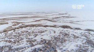 Природа севера глазами детей  Зарисовка заполярья