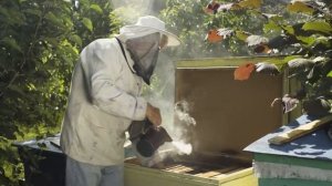 Как Запуск 1,500,000 Шариков Закончился Бедой