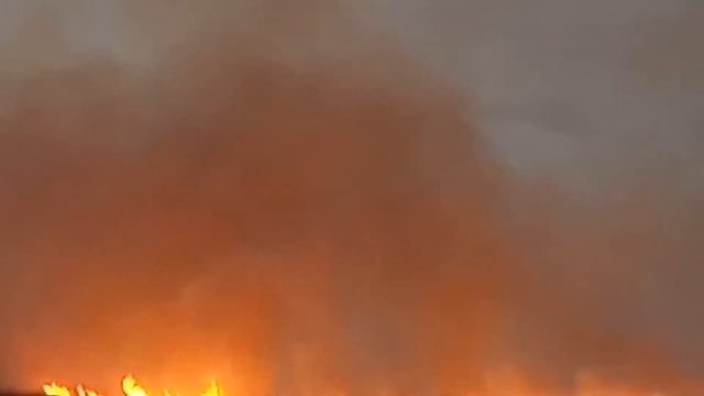 Поджог травы в Козельске смотреть онлайн