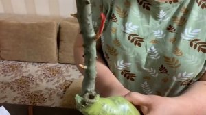 Посылка с розами из Подворья и другие приобретения.