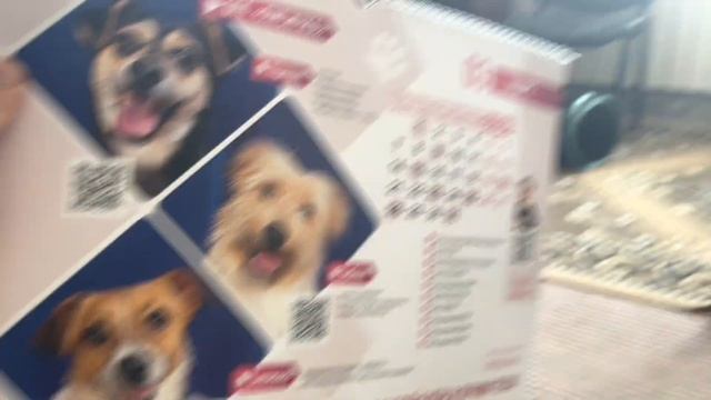 ОБЗОР НА ПУШИСТЫЙ КАЛЕНДАРЬ + КОНКУРС смотреть онлайн