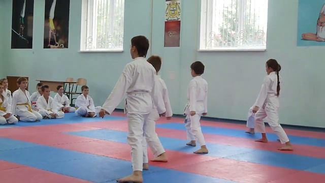 Аттестация по каратэ-до Шотокан 8 кю желтый пояс Олимпик смотреть онлайн