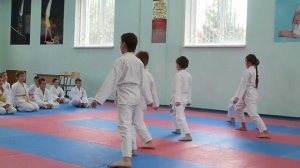 Аттестация по каратэ-до Шотокан 8 кю желтый пояс Олимпик