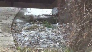 Лучшая земля для лучшей дачи или такая корова нужна самому