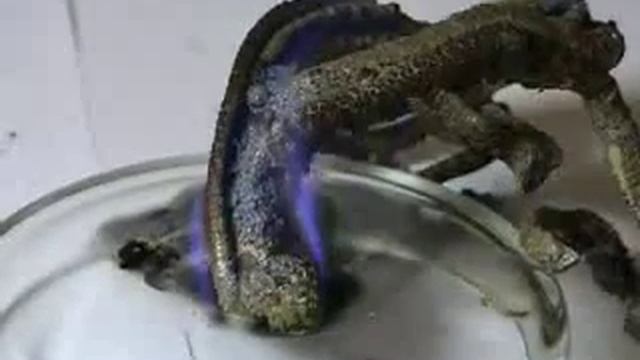 Химическая реакция! смотреть онлайн